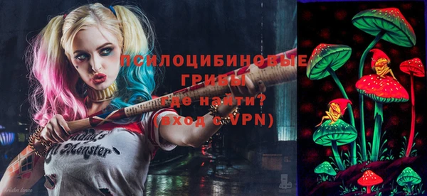 альфа пвп Елизово