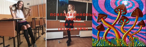 ешки Алексеевка