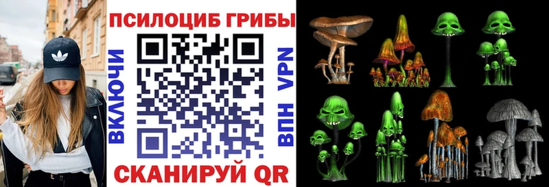 гидра как зайти  Чапаевск  Галлюциногенные грибы Magic Shrooms  купить наркоту 
