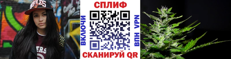 Каннабис гибрид  Чапаевск 